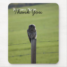 BAOW abgehaltene Eule Mousepads