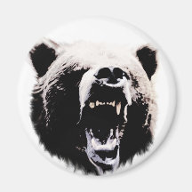 Bär Magnete