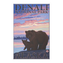 Bär und CUB - Denali Nationalpark, Alaska Gespannte Galerie Drucke