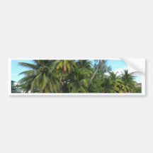 Barbados 2010 279 auto sticker