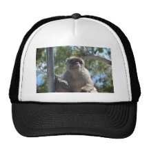 Barbary-Affe Baseballkappen