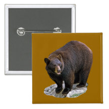 Bärn-Zeichnungs-Geschenk Anstecknadel