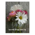 Barnwood, Gänseblümchen u. Strawflowers Save the D Postkarten