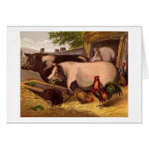 Barnyard-Freunde, Gruß-Karte