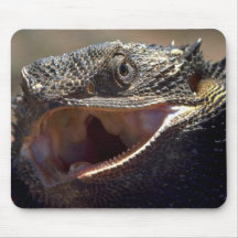 Bärtiger Drache, Australien Mauspad