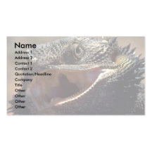 Bärtiger Drache, Australien Visitenkarten Vorlage