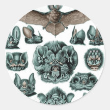 Bats - Chiroptera Sticker