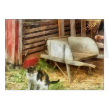 Bauernhof-Katze Grußkarte