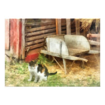 Bauernhof-Katze Personalisierte Einladungskarte