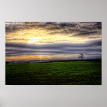 Baum am Sonnenuntergang HDR-Fotografieplakatdruck