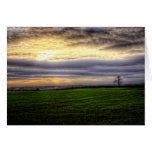 Baum an der Sonnenunterganggrußkarte