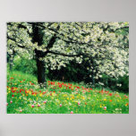 Baum der Blumen Plakatdrucke