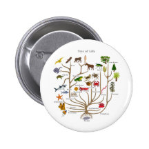 Baum des Lebens Anstecknadelbuttons