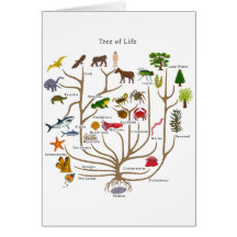 Baum des Lebens Karte