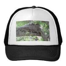 Baum des roten Gummis im Wald Trucker Kappe