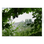 Baum-Fenster Karten