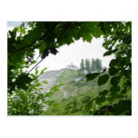 Baum-Fenster Postkarte