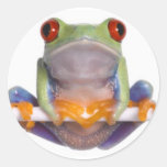 Baum-Frosch-Aufkleber 2