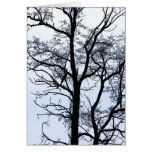 Baum im Winter Karten