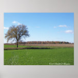 Baum in The Field Posterdruck