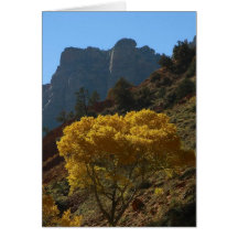 Baum in Zion Nationalpark Karte