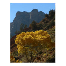 Baum in Zion Nationalpark Postkarte