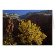 Baum in Zion Park Grußkarte