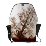 Baum Kuriertaschen