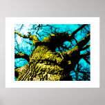 Baum Plakatdrucke