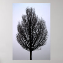 Baum Posterdruck