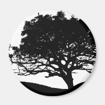 Baum-Silhouette-Magnet Kühlschrankmagnete