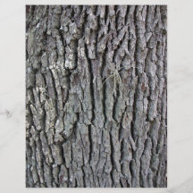 Baum-Stamm-Beschaffenheit Vollfarbige Flyer