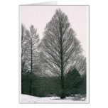 Baum - Wellen-Hügel NYC Grußkarten