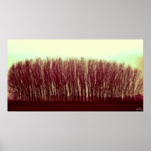 Bäume Poster
