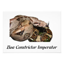 BCI Einladungen