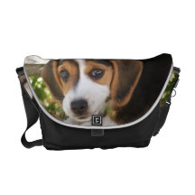 Beagle-Baby-Hund Kuriertaschen