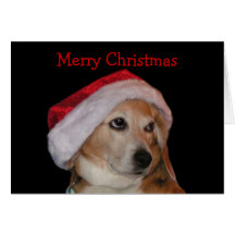 Beagle-Weihnachtskarte (Sankt)