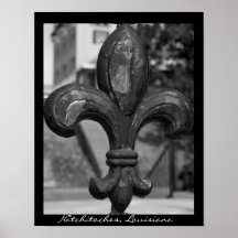 Bearbeitetes Eisen-Lilien-Plakat-Druck