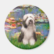 Beardie 1 - Lilien 2 Magnete
