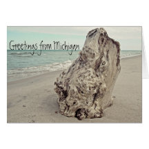 Beautiful Lake Michigan Greetings Driftwood Photo Cards