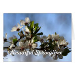 Beautiful Springtime Karten
