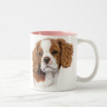 Becher: unbekümmerter König Charles Spaniel Tasse