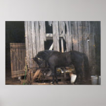 Bedeutende Schmerz 2 Plakat