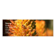 Bee Business Card Templates