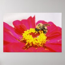 BeeOnGerber.jpg Posterdrucke