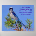 Befreiung! Plakat