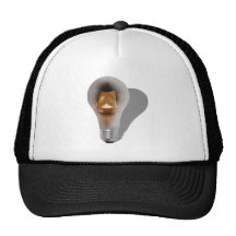 BeginningOfBrightIdea062710shadow Truckercap