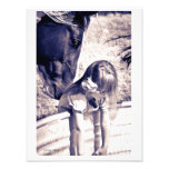"Begleiter " Fotodrucke