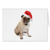Beige Mops mit roter Weihnachtsmannmütze an Karte