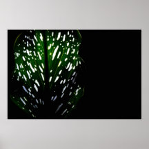Belaubt Poster